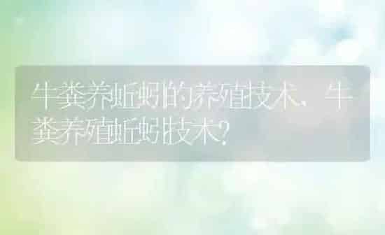 牛粪养蚯蚓的养殖技术,牛粪养殖蚯蚓技术？ | 养殖科普