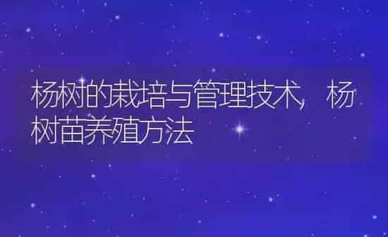 杨树的栽培与管理技术,杨树苗养殖方法 | 养殖学堂