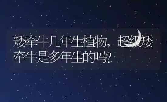 矮牵牛几年生植物,超级矮牵牛是多年生的吗? | 养殖科普
