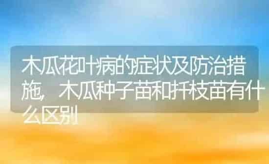 木瓜花叶病的症状及防治措施,木瓜种子苗和扦枝苗有什么区别 | 养殖学堂