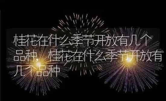 桂花在什么季节开放有几个品种,桂花在什么季节开放有几个品种 | 养殖科普