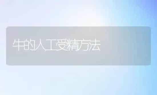 牛的人工受精方法 | 养殖知识