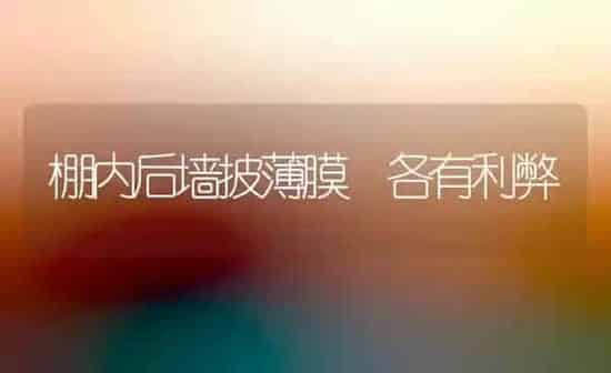 棚内后墙披薄膜 各有利弊 | 养殖知识