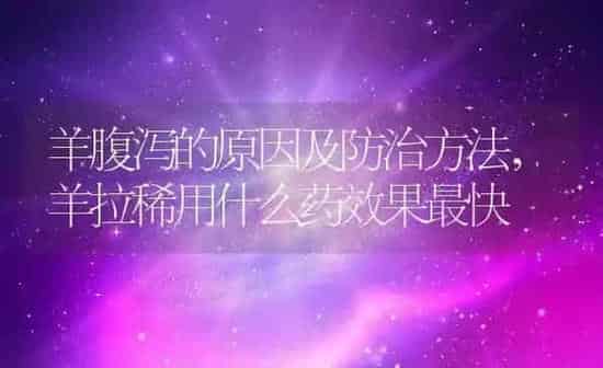 羊腹泻的原因及防治方法,羊拉稀用什么药效果最快 | 养殖学堂