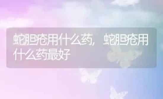 蛇胆疮用什么药,蛇胆疮用什么药最好 | 养殖资料