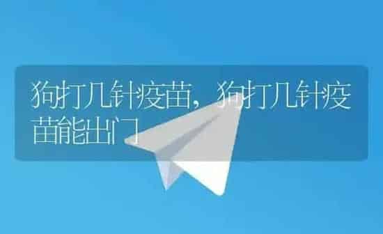 狗打几针疫苗,狗打几针疫苗能出门 | 养殖科普