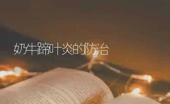 奶牛蹄叶炎的防治 | 养殖知识