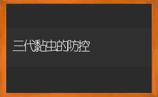 三代黏虫的防控 | 养殖知识