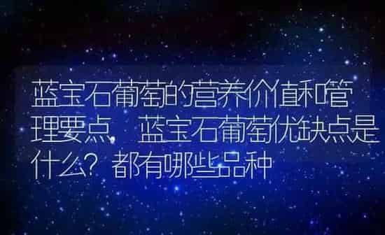 蓝宝石葡萄的营养价值和管理要点,蓝宝石葡萄优缺点是什么？都有哪些品种 | 养殖学堂