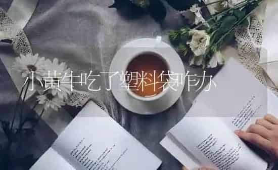 小黄牛吃了塑料袋咋办 | 养殖知识