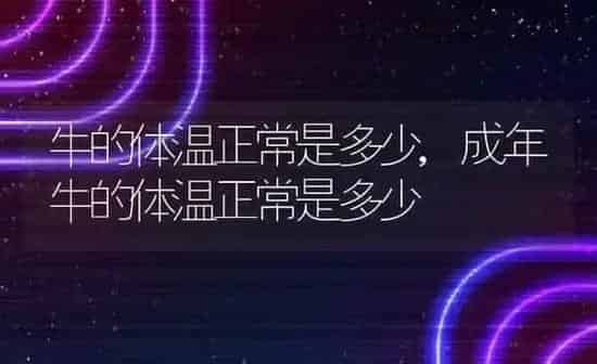 牛的体温正常是多少,成年牛的体温正常是多少 | 养殖科普
