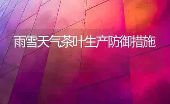 雨雪天气茶叶生产防御措施 | 养殖知识