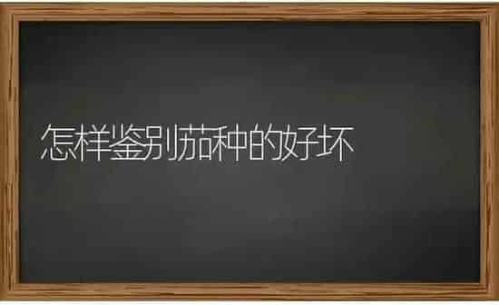 怎样鉴别茄种的好坏 | 养殖技术大全