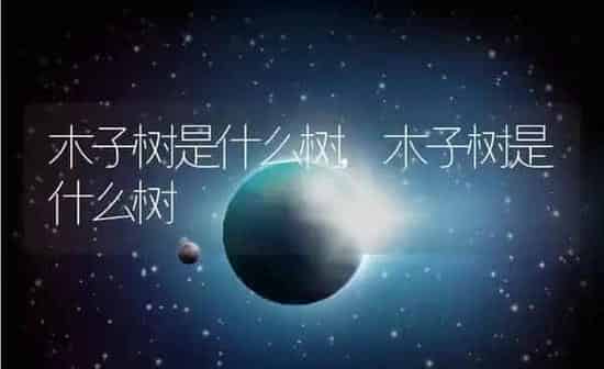 狗狗发烧小妙招,狗狗发烧小妙招吃土霉素 | 养殖资料