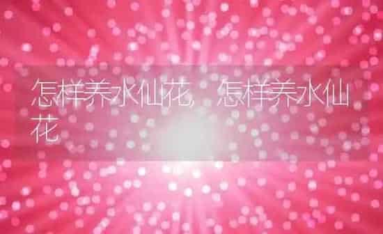 怎样养水仙花,怎样养水仙花 | 养殖科普