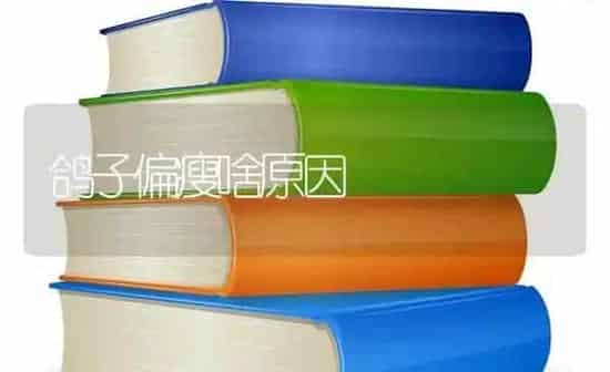 鸽子偏瘦啥原因 | 养殖知识