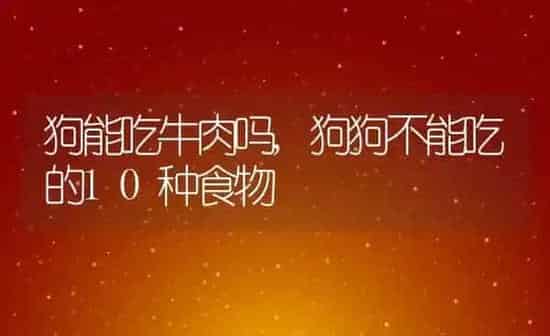 狗能吃牛肉吗,狗狗不能吃的10种食物 | 养殖科普