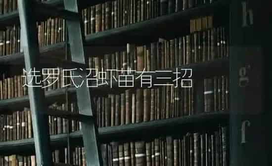选罗氏沼虾苗有三招 | 养殖知识