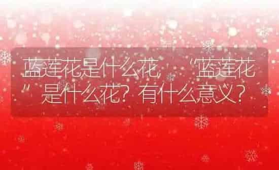 蓝莲花是什么花,“蓝莲花”是什么花？有什么意义？ | 养殖科普