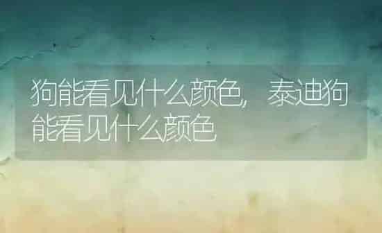 猫杯状病毒怎么治疗,猫杯状病毒怎么治疗费用 | 养殖资料