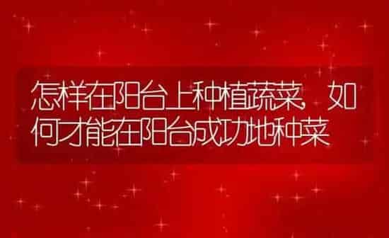 怎样在阳台上种植蔬菜,如何才能在阳台成功地种菜 | 养殖学堂