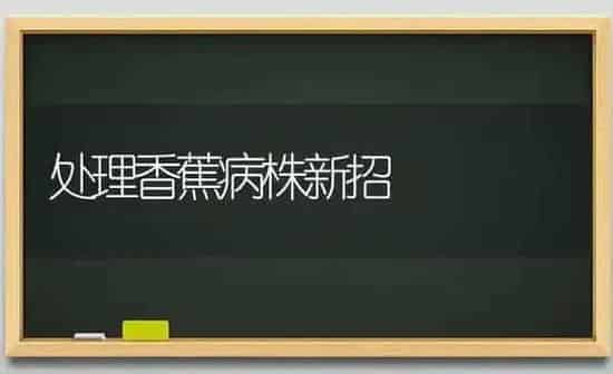 处理香蕉病株新招 | 养殖知识