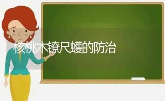 核桃木镣尺蠖的防治 | 养殖知识