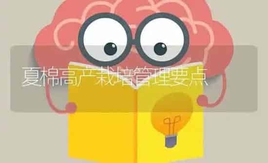 夏棉高产栽培管理要点 | 养殖知识