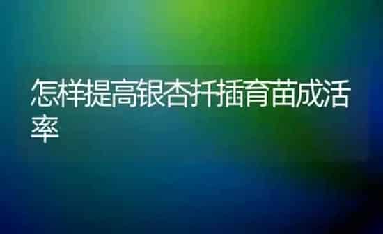 怎样提高银杏扦插育苗成活率 | 养殖技术大全