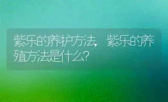 狗为什么吃屎,狗为什么吃屎是缺什么 | 养殖科普