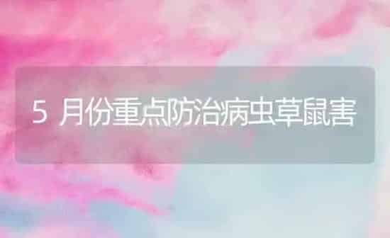 5月份重点防治病虫草鼠害 | 养殖知识