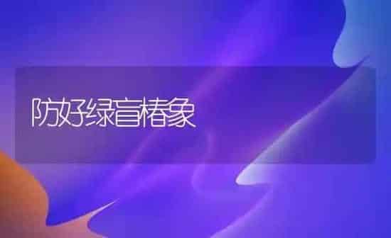 防好绿盲椿象 | 养殖知识