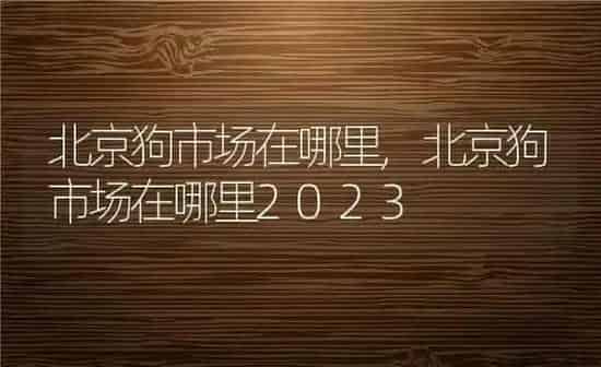 北京狗市场在哪里,北京狗市场在哪里2023 | 养殖资料