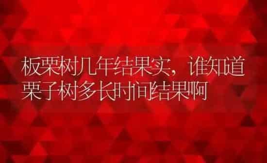 板栗树几年结果实,谁知道栗子树多长时间结果啊 | 养殖学堂