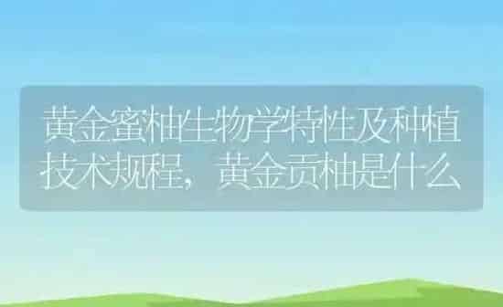 黄金蜜柚生物学特性及种植技术规程,黄金贡柚是什么 | 养殖学堂