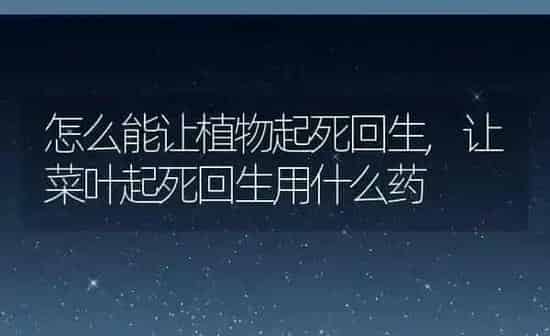 怎么能让植物起死回生,让菜叶起死回生用什么药 | 养殖学堂