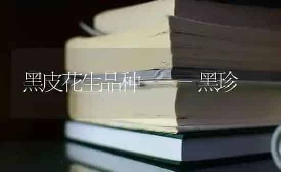 黑皮花生品种---黑珍 | 养殖技术大全