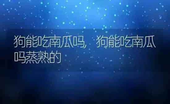 狗能吃南瓜吗,狗能吃南瓜吗蒸熟的 | 养殖科普