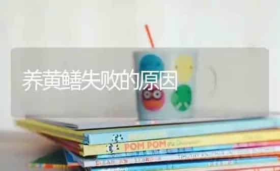 养黄鳝失败的原因 | 养殖知识