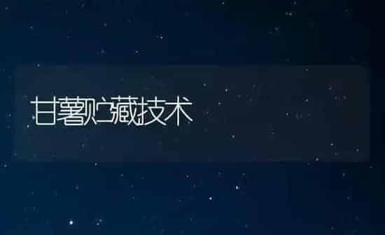 甘薯贮藏技术 | 养殖知识