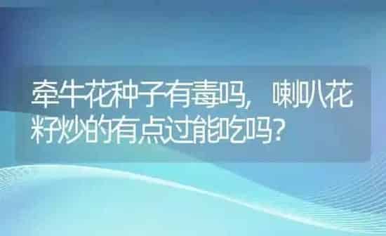 牵牛花种子有毒吗,喇叭花籽炒的有点过能吃吗？ | 养殖科普