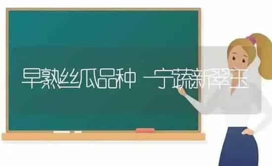 早熟丝瓜品种―宁蔬新翠玉 | 养殖知识
