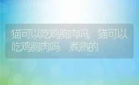 狗狗能吃花生吗,狗狗能吃花生吗熟的 | 养殖科普
