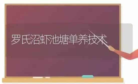 罗氏沼虾池塘单养技术 | 养殖知识