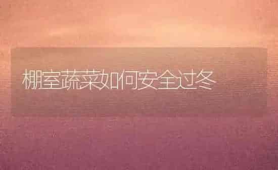 棚室番茄早防叶霉病 | 养殖技术大全