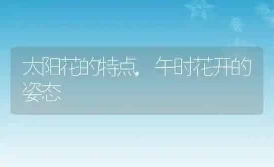 茉莉花的特点,从各种感官描写茉莉花的特点 | 养殖学堂