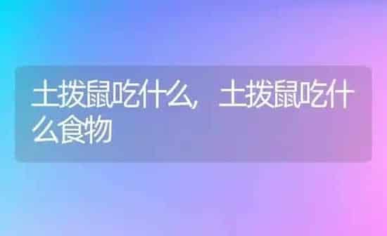 土拨鼠吃什么,土拨鼠吃什么食物 | 养殖资料