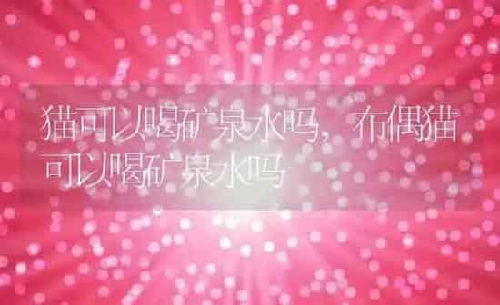 猫可以喝矿泉水吗,布偶猫可以喝矿泉水吗 | 养殖资料