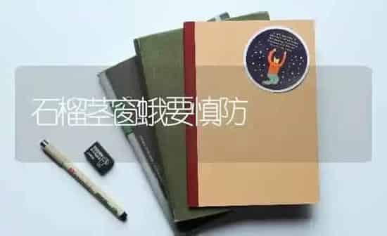 石榴茎窗蛾要慎防 | 养殖知识