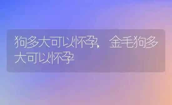 狗多大可以怀孕,金毛狗多大可以怀孕 | 养殖科普